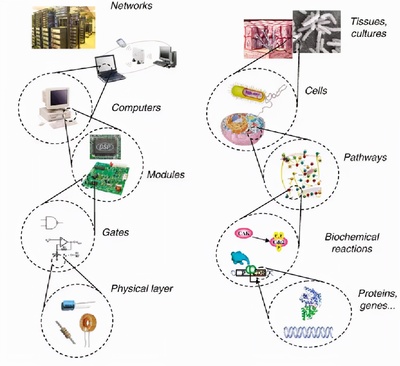 魔术师之手 计算机网络工程如何以无形之力重塑世界